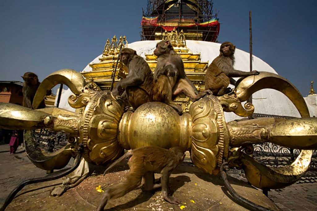 The Vajra