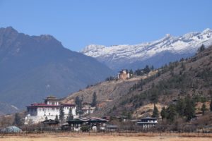 Paro Landmark